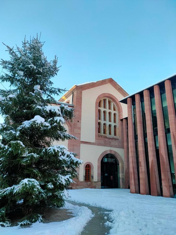 LA MAISON BLEUE, à 20 mn de Strasbourg, sur la route des vins, jusqu'à 6 personnes, Sélestat Exterior foto